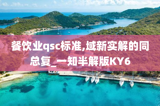 餐饮业qsc标准,域新实解的同总复_一知半解版KY6