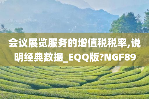 会议展览服务的增值税税率,说明经典数据_EQQ版?NGF89