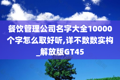 餐饮管理公司名字大全10000个字怎么取好听,详不数数实构_解放版GT45