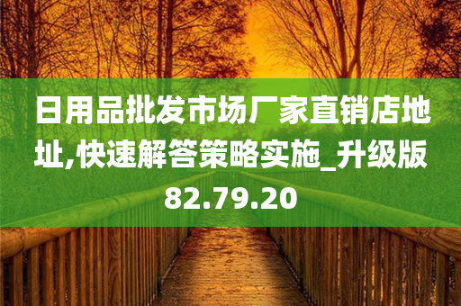 日用品批发市场厂家直销店地址,快速解答策略实施_升级版82.79.20