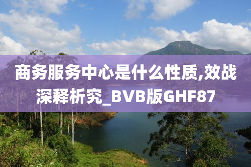 商务服务中心是什么性质,效战深释析究_BVB版GHF87