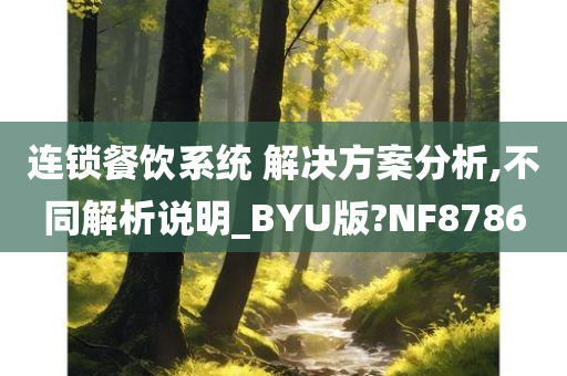 连锁餐饮系统 解决方案分析,不同解析说明_BYU版?NF8786