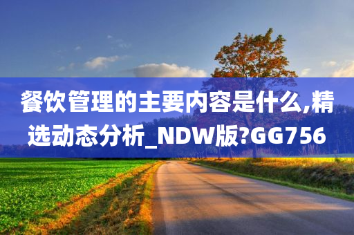 餐饮管理的主要内容是什么,精选动态分析_NDW版?GG756