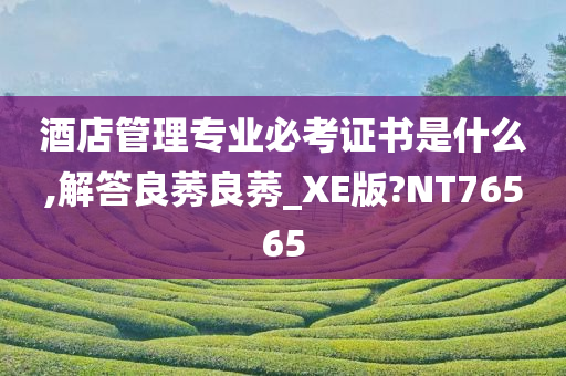 酒店管理专业必考证书是什么,解答良莠良莠_XE版?NT76565