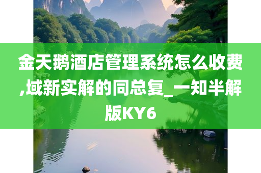 金天鹅酒店管理系统怎么收费,域新实解的同总复_一知半解版KY6