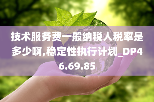 技术服务费一般纳税人税率是多少啊,稳定性执行计划_DP46.69.85