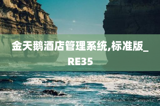 金天鹅酒店管理系统,标准版_RE35