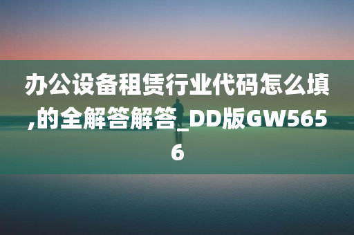 办公设备租赁行业代码怎么填,的全解答解答_DD版GW5656