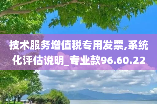 技术服务增值税专用发票,系统化评估说明_专业款96.60.22