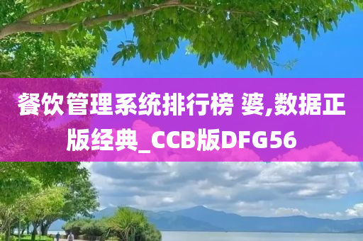 餐饮管理系统排行榜 婆,数据正版经典_CCB版DFG56