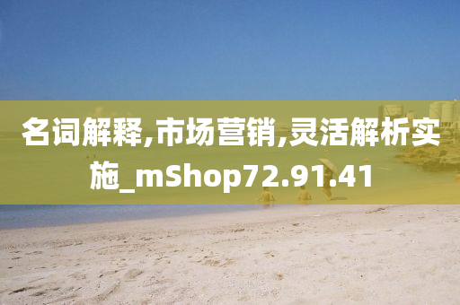 名词解释,市场营销,灵活解析实施_mShop72.91.41