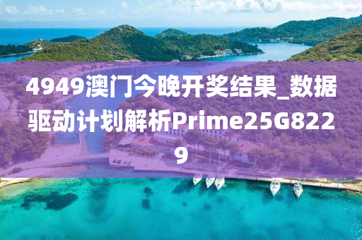 4949澳门今晚开奖结果_数据驱动计划解析Prime25G8229