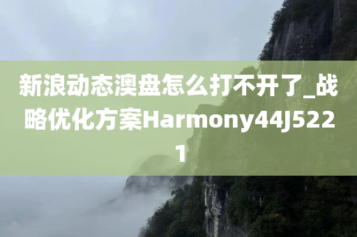 新浪动态澳盘怎么打不开了_战略优化方案Harmony44J5221