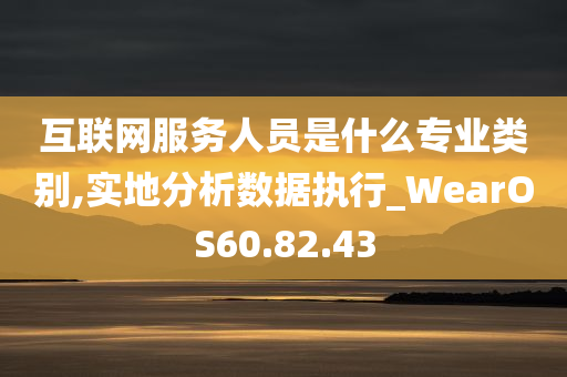 互联网服务人员是什么专业类别,实地分析数据执行_WearOS60.82.43