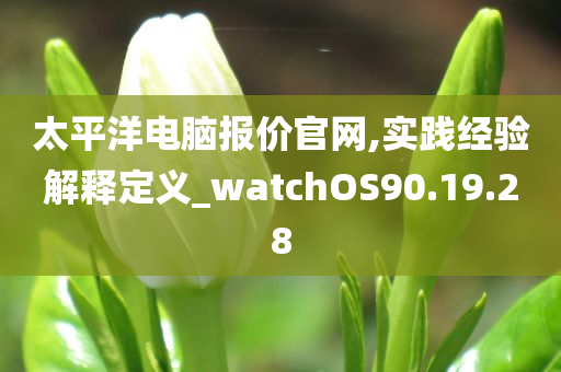 太平洋电脑报价官网,实践经验解释定义_watchOS90.19.28