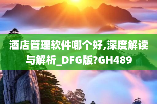 酒店管理软件哪个好,深度解读与解析_DFG版?GH489