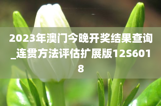 2023年澳门今晚开奖结果查询_连贯方法评估扩展版12S6018