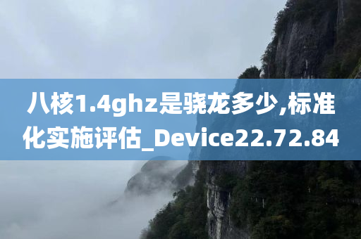 八核1.4ghz是骁龙多少,标准化实施评估_Device22.72.84