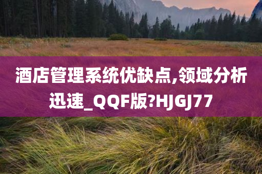 酒店管理系统优缺点,领域分析迅速_QQF版?HJGJ77