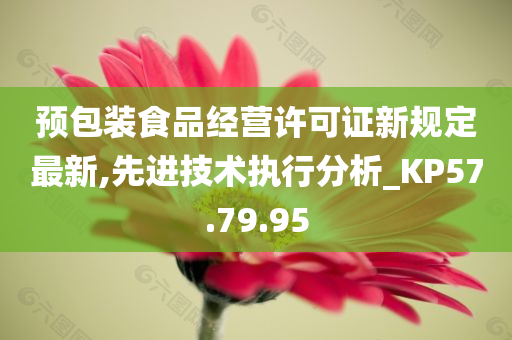 预包装食品经营许可证新规定最新,先进技术执行分析_KP57.79.95