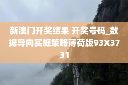 新澳门开奖结果 开奖号码_数据导向实施策略薄荷版93X3731