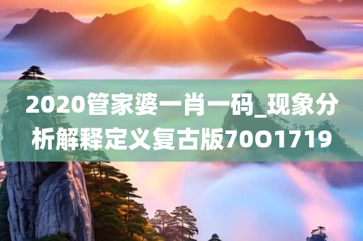 2020管家婆一肖一码_现象分析解释定义复古版70O1719