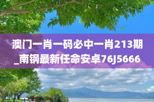 澳门一肖一码必中一肖213期_南钢最新任命安卓76J5666