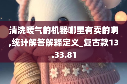 清洗暖气的机器哪里有卖的啊,统计解答解释定义_复古款13.33.81