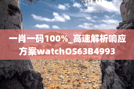 一肖一码100%_高速解析响应方案watchOS63B4993