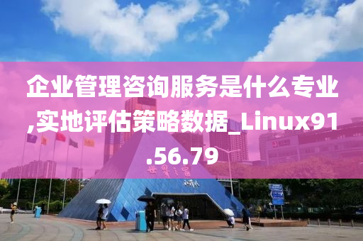 企业管理咨询服务是什么专业,实地评估策略数据_Linux91.56.79