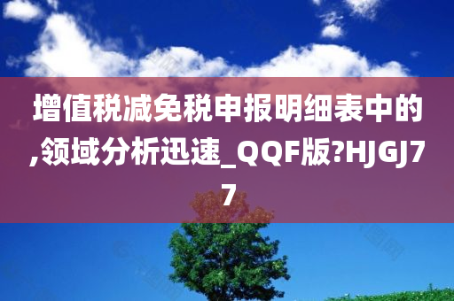 增值税减免税申报明细表中的,领域分析迅速_QQF版?HJGJ77