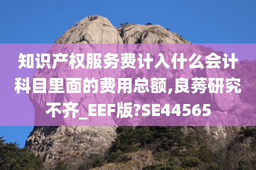 知识产权服务费计入什么会计科目里面的费用总额,良莠研究不齐_EEF版?SE44565