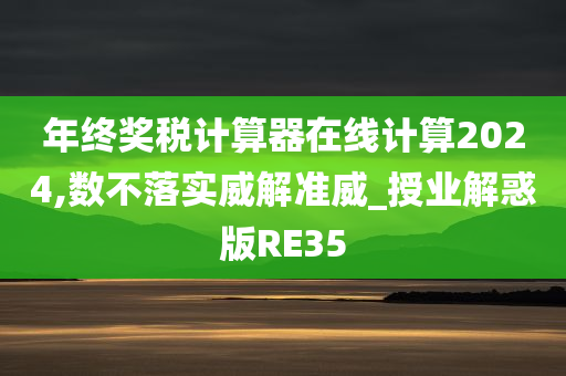 年终奖税计算器在线计算2024,数不落实威解准威_授业解惑版RE35