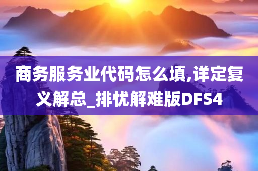 商务服务业代码怎么填,详定复义解总_排忧解难版DFS4