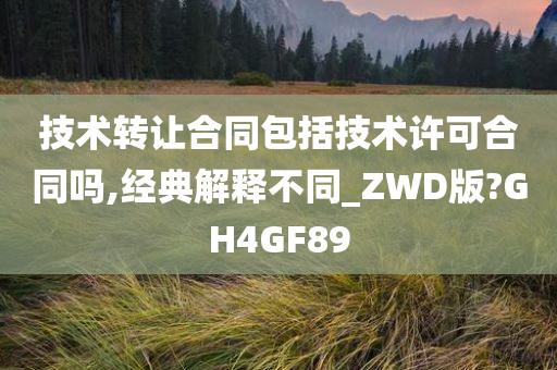 技术转让合同包括技术许可合同吗,经典解释不同_ZWD版?GH4GF89