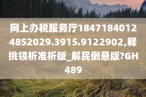 网上办税服务厅18471840124852029.3915.9122902,释挑领析准析版_解民倒悬版?GH489