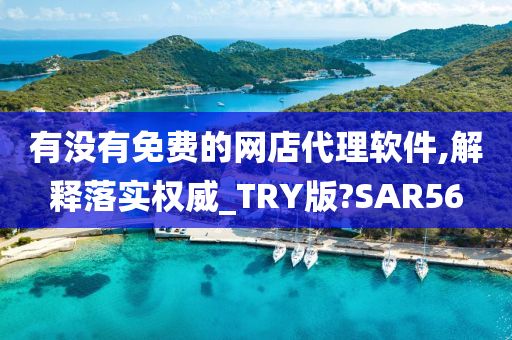 有没有免费的网店代理软件,解释落实权威_TRY版?SAR56