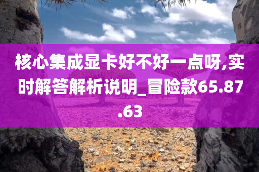 核心集成显卡好不好一点呀,实时解答解析说明_冒险款65.87.63