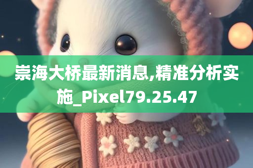 崇海大桥最新消息,精准分析实施_Pixel79.25.47