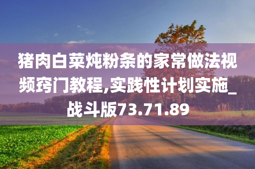 猪肉白菜炖粉条的家常做法视频窍门教程,实践性计划实施_战斗版73.71.89