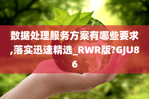 数据处理服务方案有哪些要求,落实迅速精选_RWR版?GJU86