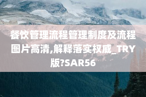 餐饮管理流程管理制度及流程图片高清,解释落实权威_TRY版?SAR56