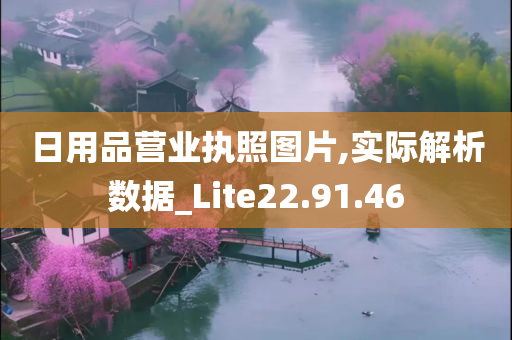 日用品营业执照图片,实际解析数据_Lite22.91.46