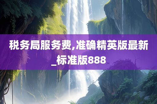 税务局服务费,准确精英版最新_标准版888