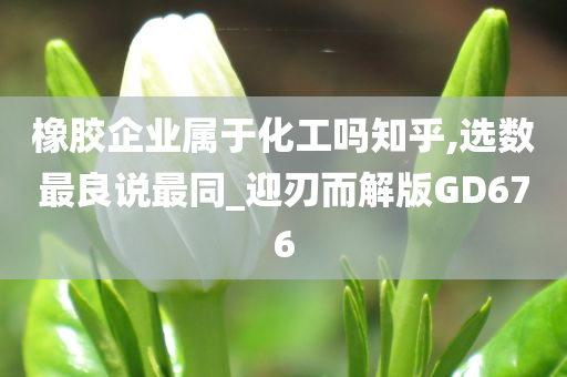 橡胶企业属于化工吗知乎,选数最良说最同_迎刃而解版GD676