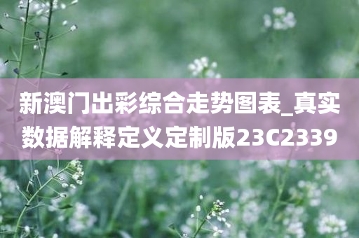 新澳门出彩综合走势图表_真实数据解释定义定制版23C2339