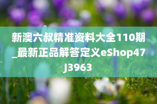 新澳六叔精准资料大全110期_最新正品解答定义eShop47J3963