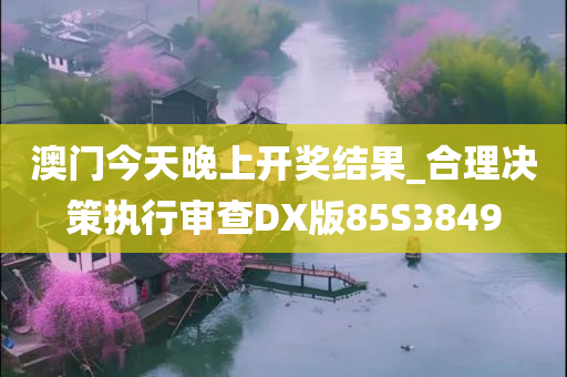 澳门今天晚上开奖结果_合理决策执行审查DX版85S3849