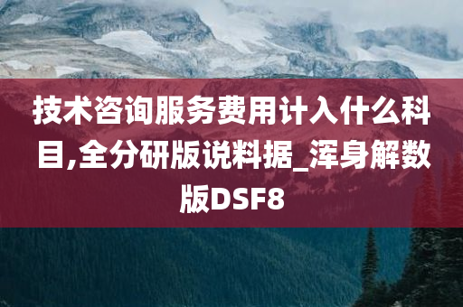 技术咨询服务费用计入什么科目,全分研版说料据_浑身解数版DSF8