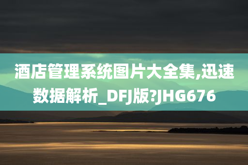 酒店管理系统图片大全集,迅速数据解析_DFJ版?JHG676